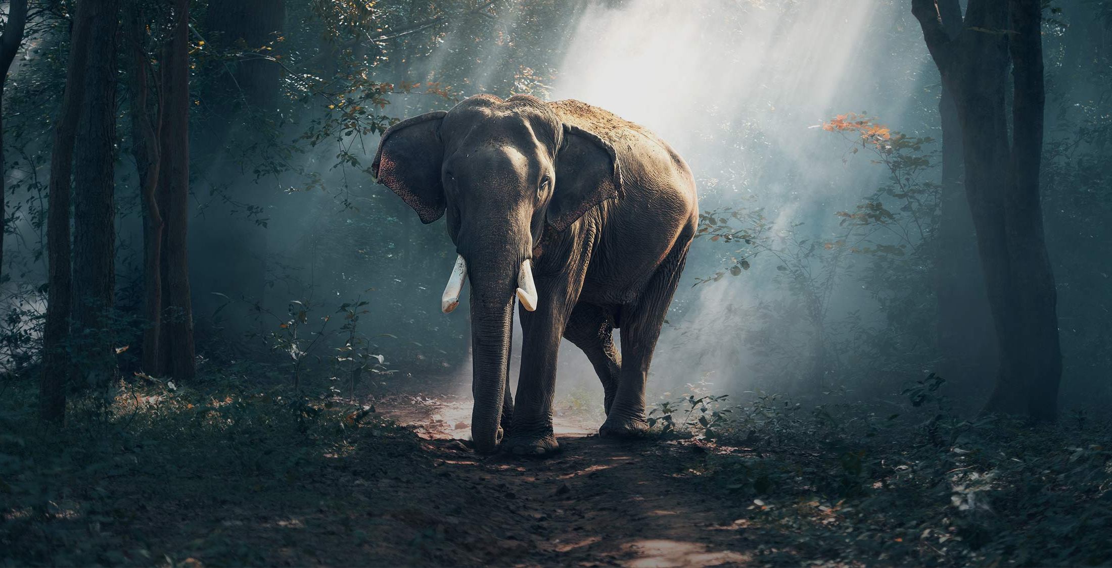 PHP 7.3 Released